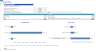 Medical Center (Outpatient) 5-Year Monthly Financial Projection and Valuation Model