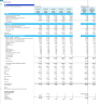 Veterinary Practice  5-Year Monthly Financial Projection & Valuation Model
