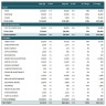 Profit & Loss Dashboard for Restaurant Business  - Premium Version - Automated Single-Entry System