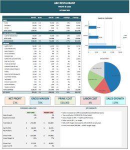 Profit & Loss Dashboard for Restaurant Business  - Premium Version - Automated Single-Entry System
