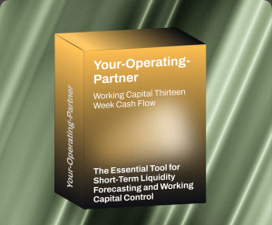Working Capital Thirteen Week Cash Flow