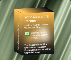 Working Capital Overview (FREE)