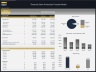 Theatrical Show Production Financial Model