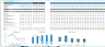 Transaction Services – FDD Net Debt & Debt-Like Items Analysis Model - DEMO