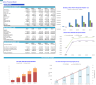 Commerical Airline Financial Model (Aircraft Lease & Capex Option)