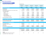 Commerical Airline Financial Model (Aircraft Lease & Capex Option)