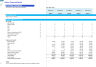 Commerical Airline Financial Model (Aircraft Lease & Capex Option)