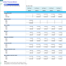 Commerical Airline Financial Model (Aircraft Lease & Capex Option)