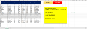 Excel VBA Data Splitter – Automatically Split Data Into Multiple Sheets