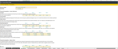 Cash Flow Business Plan Template