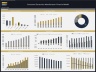 Consumer Electronics Manufacturing – 10 Year Financial Model