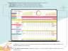 Net Worth Calculator