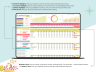 Net Worth Calculator