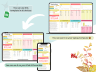 Income and Expense tracker