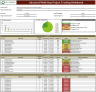 Excel Project Tracking Dashboard Template | Multi-Step Task Manager