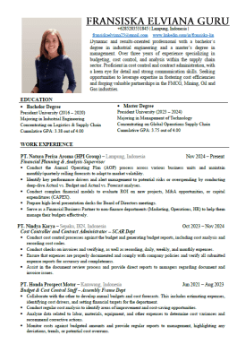 Example of Curriculum Vitae - Financial Planning