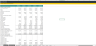 Annual Cash Flow Projection Template