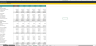 Annual Cash Flow Projection Template