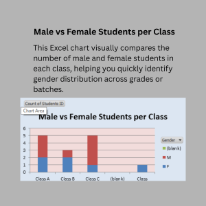 Student Attendance & Fee Management Dashboard | Excel School Analytics Template | Attendance Tracking & Fee Monitoring