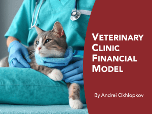 Veterinary Clinic Financial Model