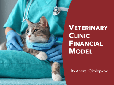 Veterinary Clinic Financial Model
