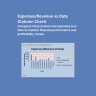 Excel Business & Revenue Management Dashboard | KPI Analytics Template