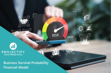 Business Survival Probability Financial Model