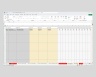 Service Excel Weekly + Monthly Cash Flow