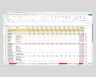 Service Excel Weekly + Monthly Cash Flow
