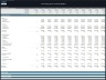 Consulting Firm – 10 Year Financial Model