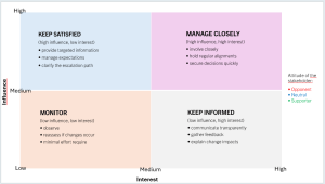 Professional Stakeholder Analysis & Mapping Canvas