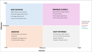 Professional Stakeholder Analysis & Mapping Canvas