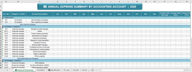 Automated Expense Management