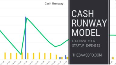 Cash Runway Model