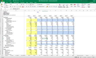 Consulting Projects - Full Excel Financial Model