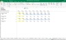 Consulting Projects - Full Excel Financial Model