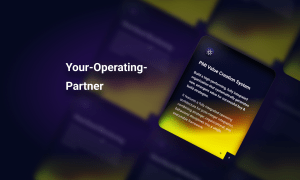 PMI Value Creation System (FREE)