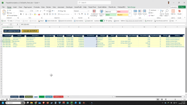 Prepaid Expense Amortisation Schedule (PRO Version)