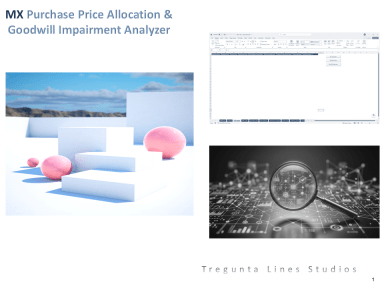 MX Purchase Price Allocation and Goodwill Impairment Analyzer. Automate PPA Valuations, Intangible Fair Values