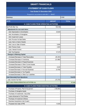 Advanced Cash Flow Statement Generator | IAS 7 Compliant | Indirect Method | Fully Automated Excel Template