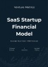 SaaS Startup Financial Model — Runway, Burn Rate & MRR Forecast for Pre-Seed Founders