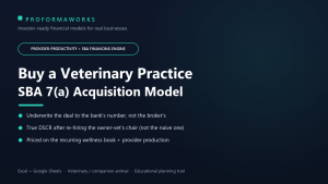 Veterinary Practice Acquisition & SBA Underwriting Financial Model (Excel + Google Sheets)