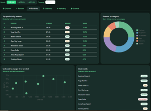 E-Commerce Performance Dashboard