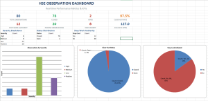 HSE Observation Dashboard Professional