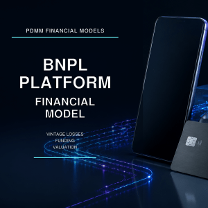 BNPL Platform Financial Model | Vintage Credit Losses, Warehouse & ABS Funding, Unit Economics and Valuation