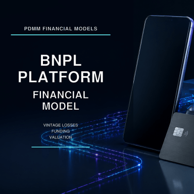 BNPL Platform Financial Model | Vintage Credit Losses, Warehouse & ABS Funding, Unit Economics and Valuation