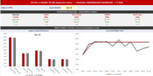EasePro: Actual vs Budget High Level YTD