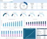 Business Startup DCF and IPO Valuation Financial Model 10-Year Forecast