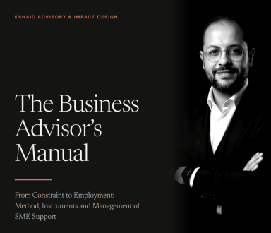 The Business Advisor’s Manual From Constraint to Employment: Method, Instruments and Management of SME Support