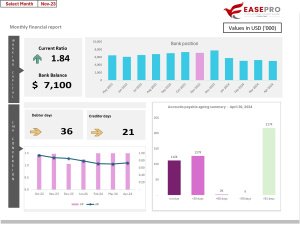 EasePro Monthly Financial Report Board Pack Sample